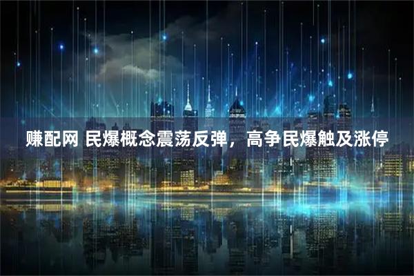 赚配网 民爆概念震荡反弹，高争民爆触及涨停