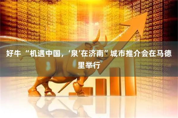 好牛 “机遇中国，‘泉’在济南”城市推介会在马德里举行
